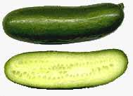 Image Cucumber Persian fruit