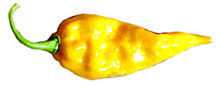 Fatali