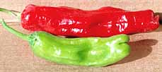 Image Shishito pepper