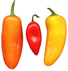 Dulcetta sweet pepper