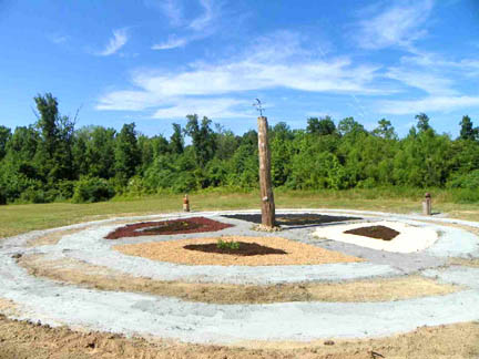 sweetgrass plants