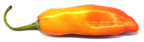 Aji Yellow pepper