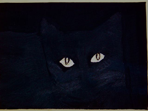 Black cat