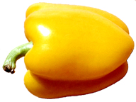 California wonder gold pepper