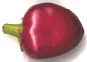 Cherry Hot pepper