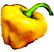 Habanero Jamaican Yellow hot pepper seeds
