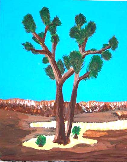 Joshua tree