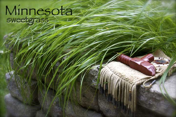 What is sweetgrass and how is it used? - Sweetgrass Trading Co