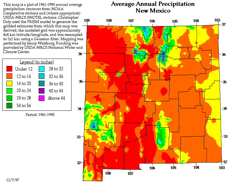 New Mexico rainfall