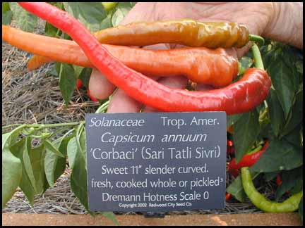 sweet peppers