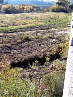 Salinas river dry