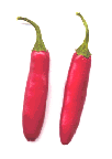 Serrano pepper
