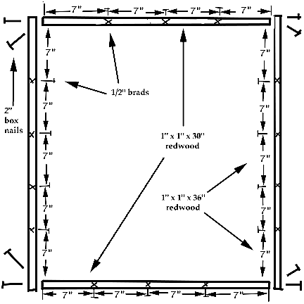 transect